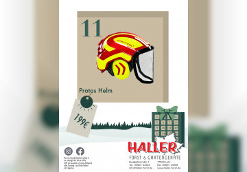 Türchen 11. Protos Helm