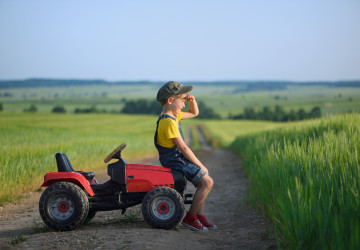 Rasenm&auml;her und Kleinger&auml;te fit f&uuml;r den Fr&uuml;hling: Wann sich eine Inspektion lohnt
