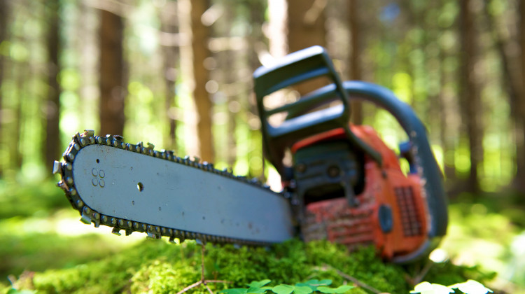 Motorsägenlehrgang – sicher sägen will gelernt sein