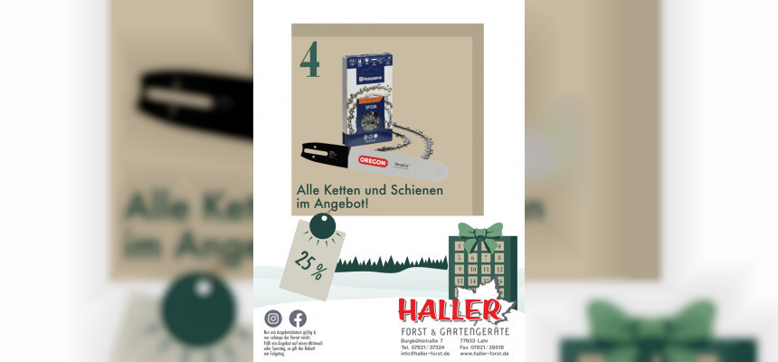 Standard Post with Image