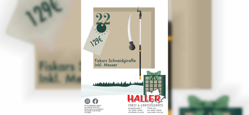 Standard Post with Image