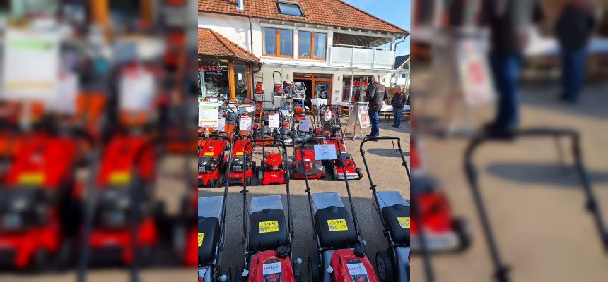 Standard Post with Gallery